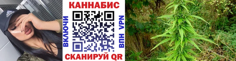 Все наркотики Курск Марихуана  КОКАИН  A PVP  МЕФ  Галлюциногенные грибы  Гашиш 