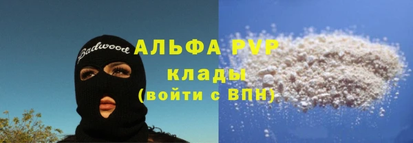 2c-b Новозыбков