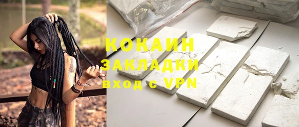2c-b Новозыбков