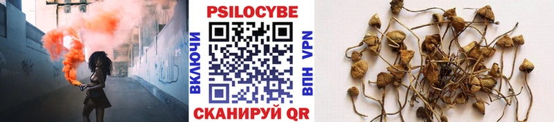 Псилоцибиновые грибы Cubensis  дарнет шоп  Курск 