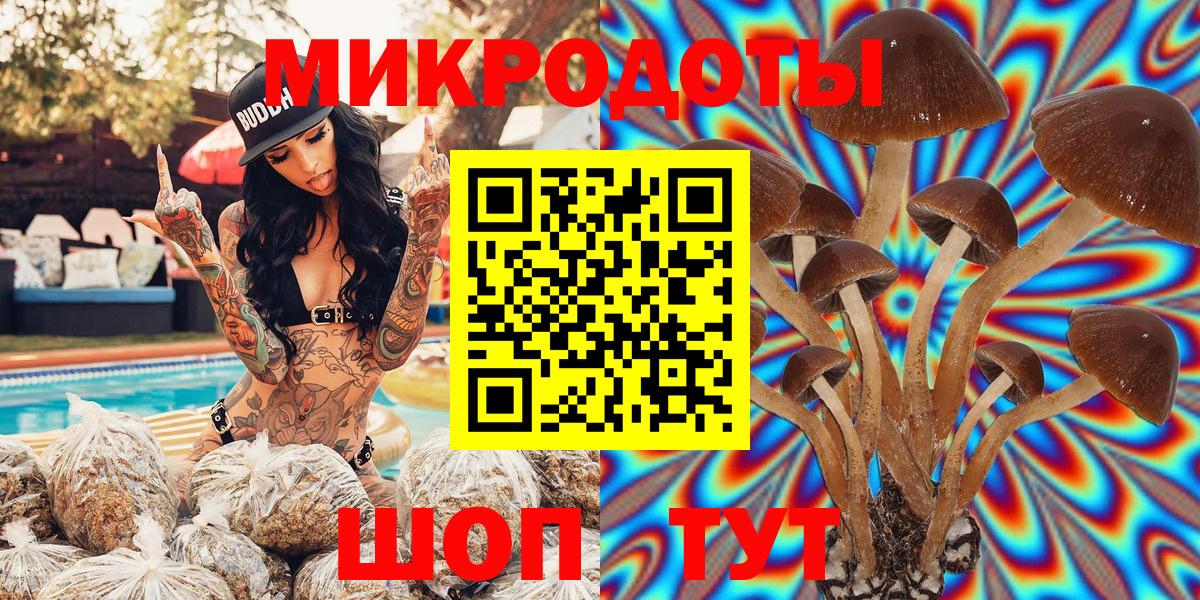 Галлюциногенные грибы Psilocybine cubensis Курск