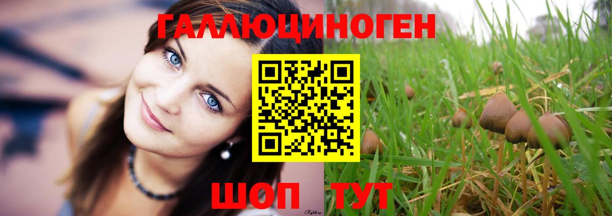 Псилоцибиновые грибы MAGIC MUSHROOMS  закладка  Вход с VPN  Курск  Псилоцибиновые грибы Cubensis 